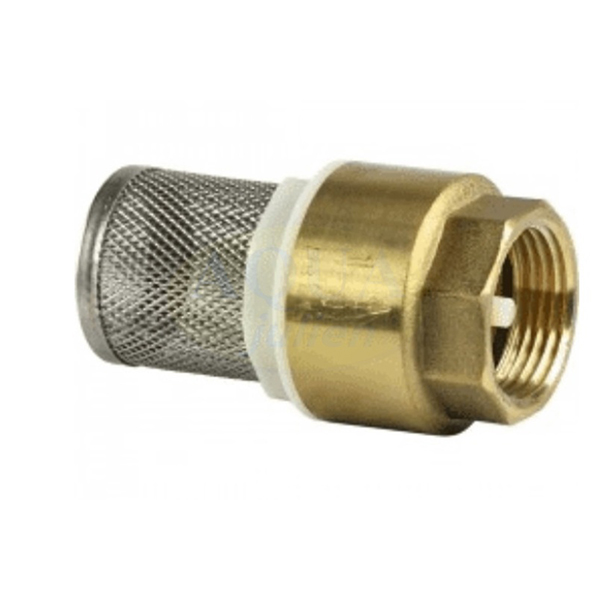 CREPINE ANTI-RETOUR AVEC FILTRE EN INOX F-F 3/4-
