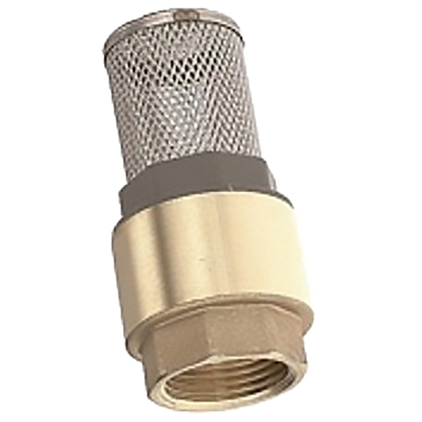 CREPINE ANTI-RETOUR AVEC FILTRE EN INOX F-F 2-1/2