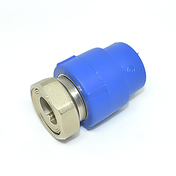 EMBOUT TARAUDE A ECROU LIBRE PPR BLEU DIAM 20*3/4-