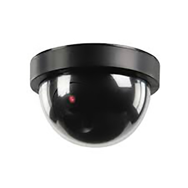 CAMERA DOME INTERIEURE FACTICE