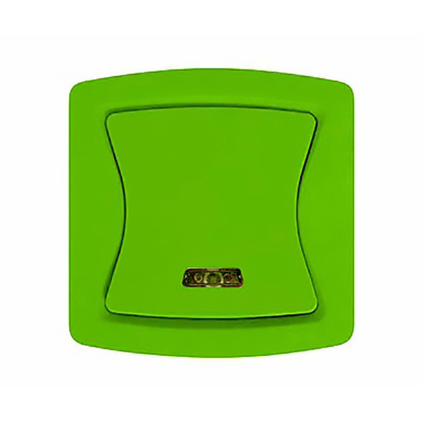 BOUTON POUSSOIR AVEC VOYANT VERT FINITION MAT DIVINE
