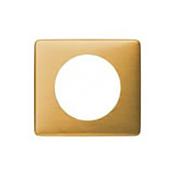 CELIANE _PLAQUE 1 POSTE METAL LAITON