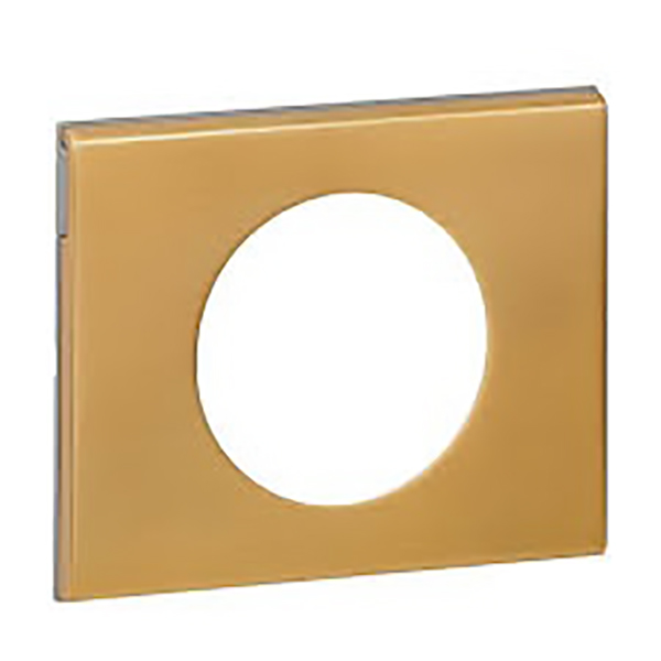 CELIANE _PLAQUE 1 POSTE MATIERE BRONZE DORE