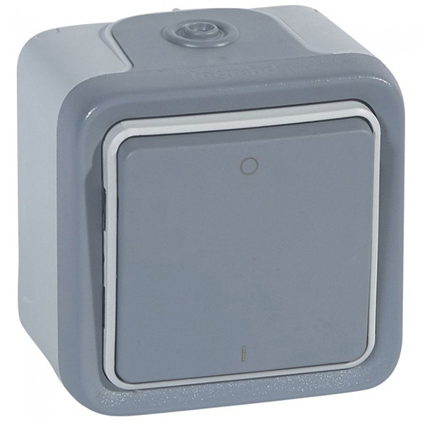 DOUBLE POLE SWITCH PLEXO - IP55-IK07 - 10 AX-250 V