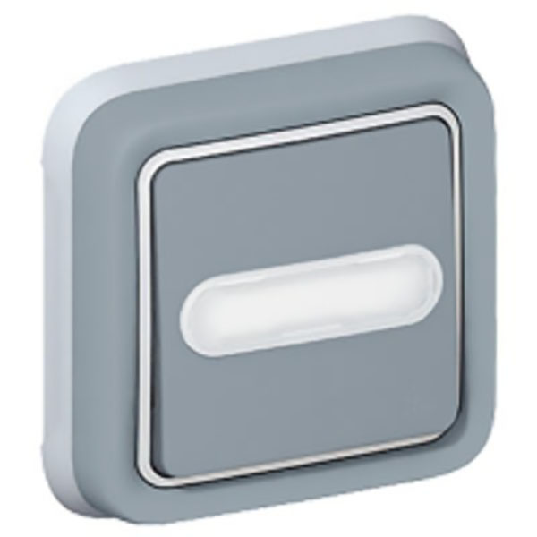 POUSSOIR INVERSEUR ETANCHE NO+NF LUMINEUX AVEC PORTE-ETIQUETTE PLEXO COMPLET IP55 ENCASTRE 10A - GRIS