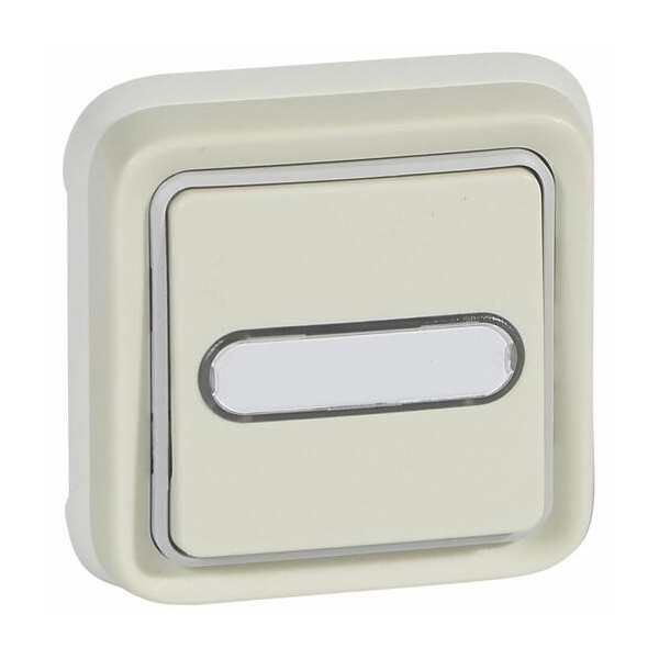 POUSSOIR INVERSEUR ETANCHE NO+NF LUMINEUX AVEC PORTE-ETIQUETTE PLEXO COMPLET IP55 ENCASTRE 10A - BLANC