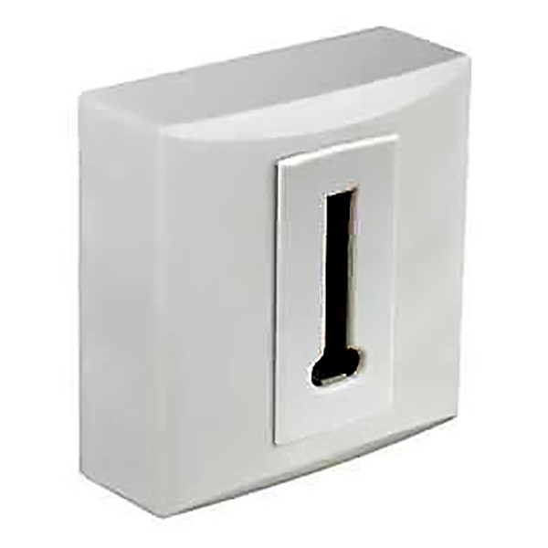 PRISE TELEPHONE ALU FINITION MAT DIVINE