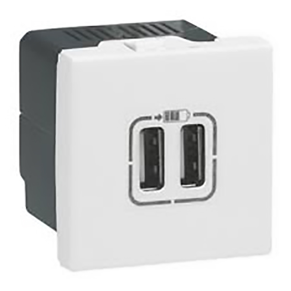 MOSAIC _CHARGEUR 2 USB 2 MOD - BLANC