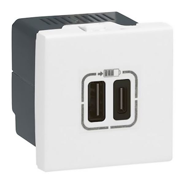 CHARGEUR 2 USB TYPE-C 3A 5V= 15W MOSAIC 2 MODULES 230V - BLANC