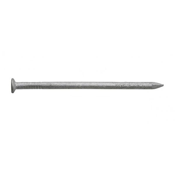 POINT TETE PLATE GALVA - 1KG - 3,1X80 - 1000PCS