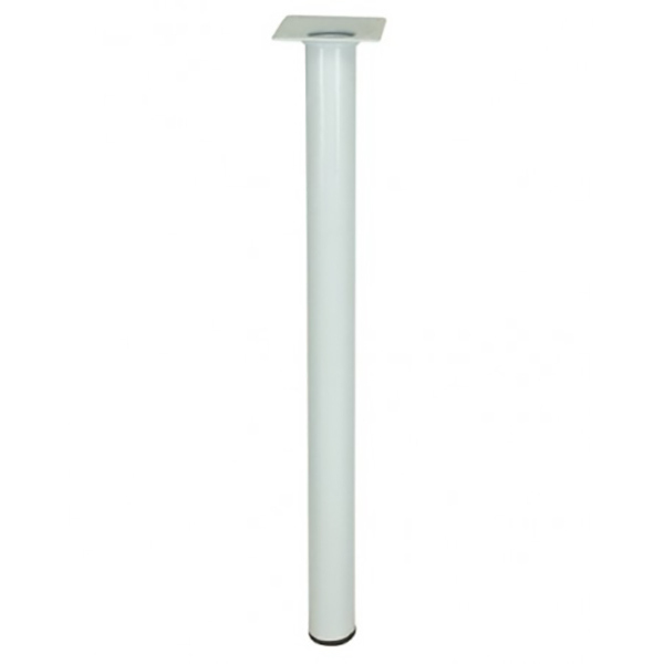 PIED D30 M10 ACIER BLANC H700