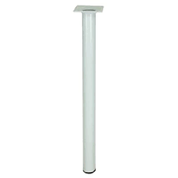 PIED D30 M10 ACIER BLANC H250