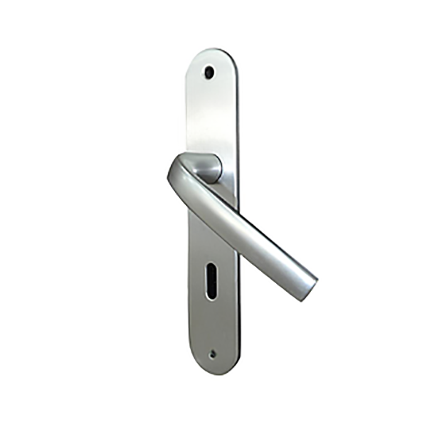 ENSEMBLE LOGIO ENTRAXE 195MM CLE L ARGENT