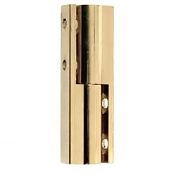 PAUMELLE UNIVERSEL N10 H50 LAITON X2