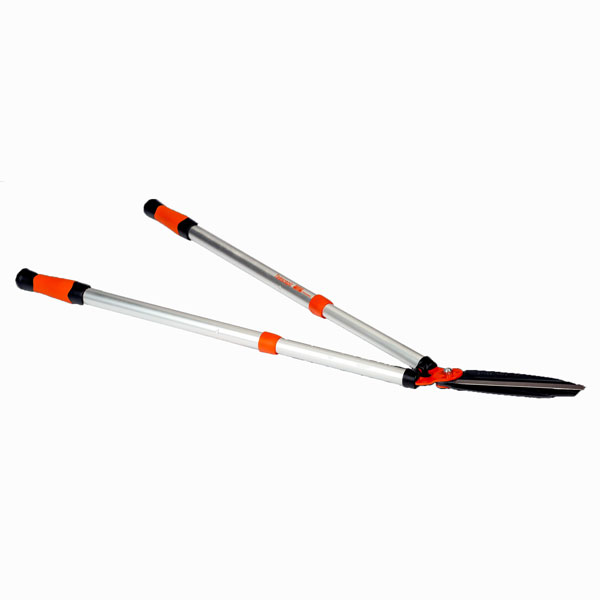 CISAILLE HAIES EXPERT TELESCOPIC