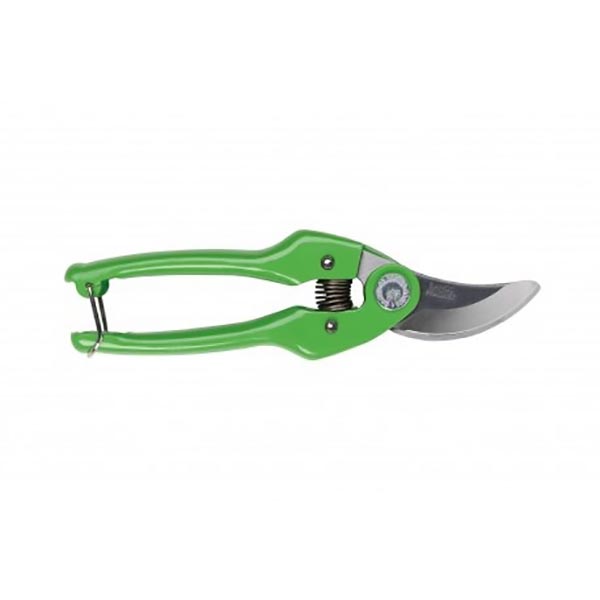 SECATEUR RAINBOW VERT