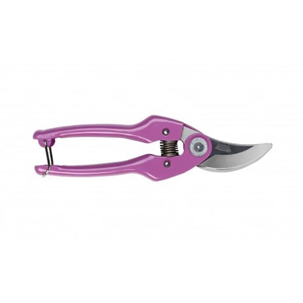 SECATEUR RAINBOW LILAC