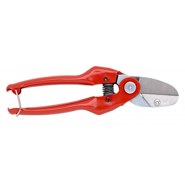 SECATEUR 1 MAIN