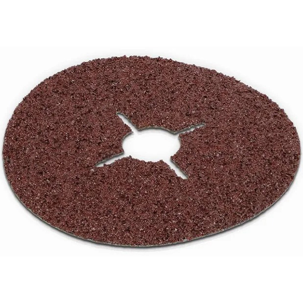 DISQUE ABRASIF G100 - D.180