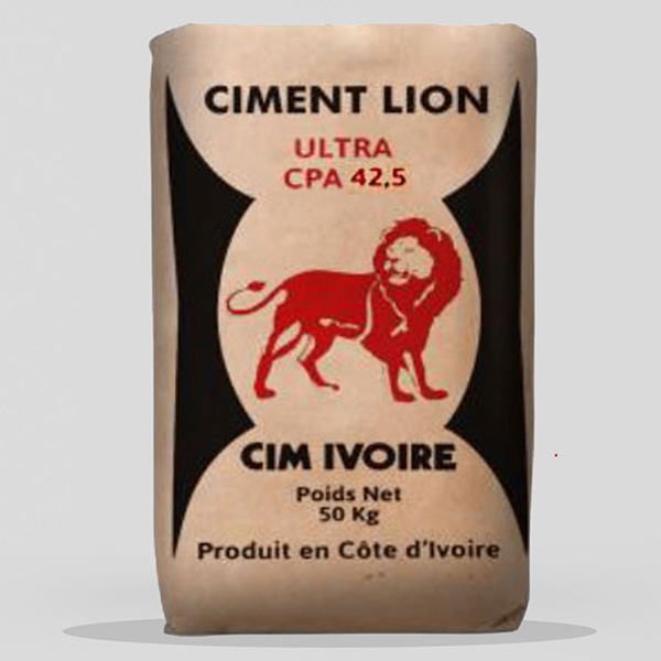 CIMENT POWER CPA 45 SAC DE 50KG