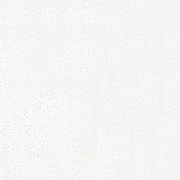 FAUX PLAFOND FIBRE EP12MM 605X605MM