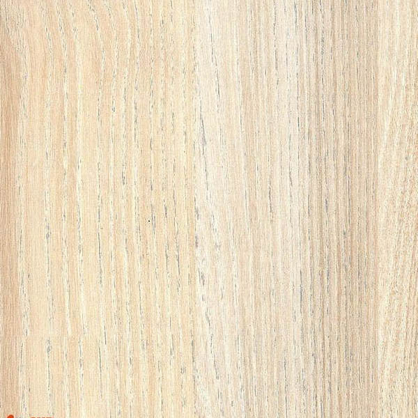 TABLETTES MELAMINE ACACIA CREME MATE 2500X400X18