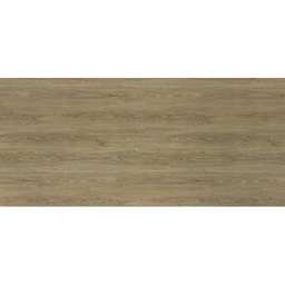 [50633] BANDE DE CHANT CHENE QUEBEC EXM 1908W 23X0,8MM C105