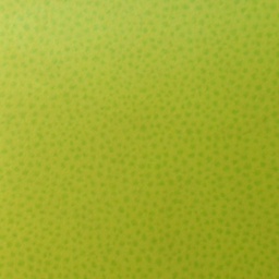 [51031] FEUILLE STRATIFIE Z021 HPL 0,8MM POS 307X132 ZESTE CITRON VERT