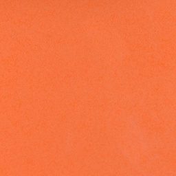 [51054] FEUILLE STRATIFIE HPL F001 1MM STD 307X124 FLORIDA BRIGHT+FS