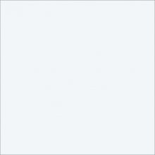 [51065] FEUILLE STRATIFIE B117 HPL 0,8MM 307*124 BLANC ARTIC