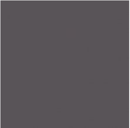 [51071] STRATIFIE C025 HPL 0,8MM POS 307X132 ERABLE WENGE