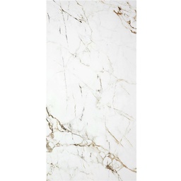 [29893] CARREAU 60X120 # P.E ASTER WHITE MT (CX2PCS=1,44/CTN)