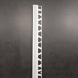[29966] PROFILE DE NEZ D ESCALIER EN ALUMINIUM 10MM/2,50ML BARRE_ MATT CHROME