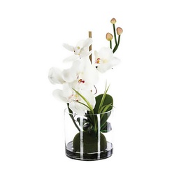 [112166] COMPO ORCHIDEE VASE VR H37