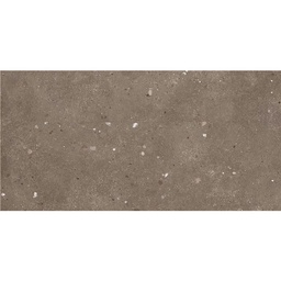 [210565] CARREAU 60X120 # P.E GLAMSTONE BROWN MT (CX2PCS=1,44/CTN)