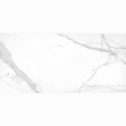 [210567] CARREAU 60X120 # P.E THOLOS WHITE MATE RC (CX2PCS=1,44/CTN)