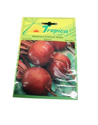 [402052] BETTERAVE CRIMSON GLOBE TROP 3 G tr