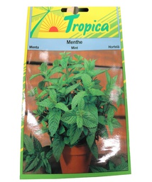 [402067] MENTHE A FEUILLES RONDES 0,1G tr