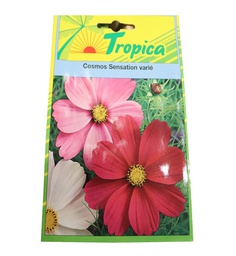 [402073] COSMOS SENSATION VARIE TROP 140 GRAINE tr