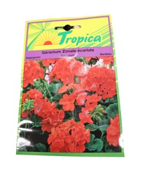 [402074] GERANIUM ZONALE VARIE 0,1 G tr