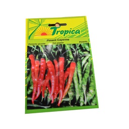 [402082] PIMENT CAYENNE TROP 1 G (*) tr