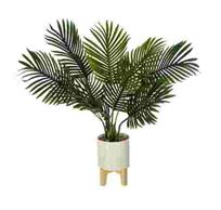 [113196] PALMIER CRMQ PIED BOIS H72