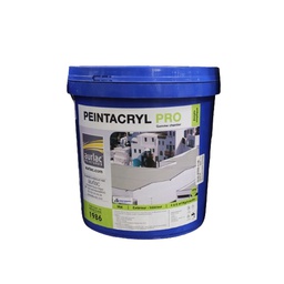[152578] PLACO PRO INT/EXT blanc en bidon de 30kg