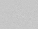 [2326307] SOL SOUPLE #SUNLIGHT CHRISTIE 448  / 4ML *40ML*2,1MM