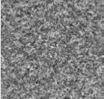 [2326309] SOL SOUPLE #SUNLIGHT UNI NOIR  / 4ML *40ML*2,1MM