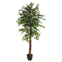 [152833] FICUS ARTIF BICO H180