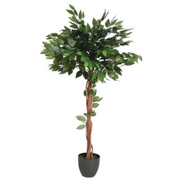 [152838] FICUS ARTIF POT H120