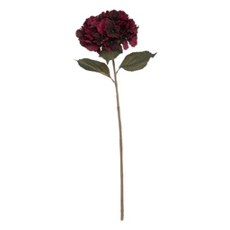 [152856] TIGE HORTENSIA RUBIS H83