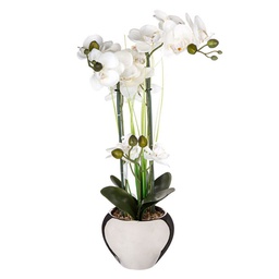 [152861] ORCHIDEE VASE CRMQ ARGENT H.53