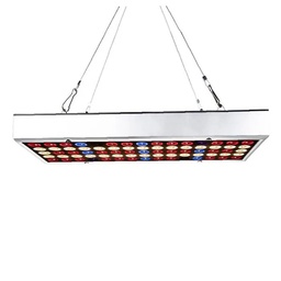 [40032] LAMPE A POSER VERRE + INTERIEUR PLANTE 6 LED 2700K IP44